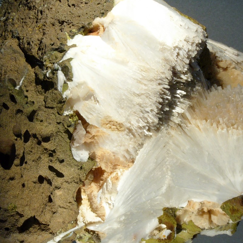 One thing I learnt #27: enhance your body’s ability to detoxify, you’ll probably need it for the festive season (and&nbsp;beyond)